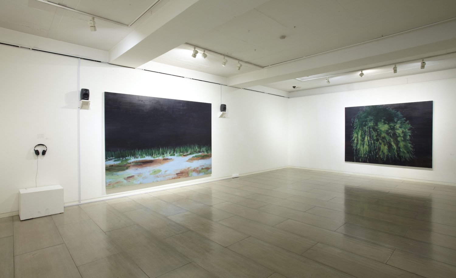 박진아: 스냅라이프, 성곡 내일의 작가